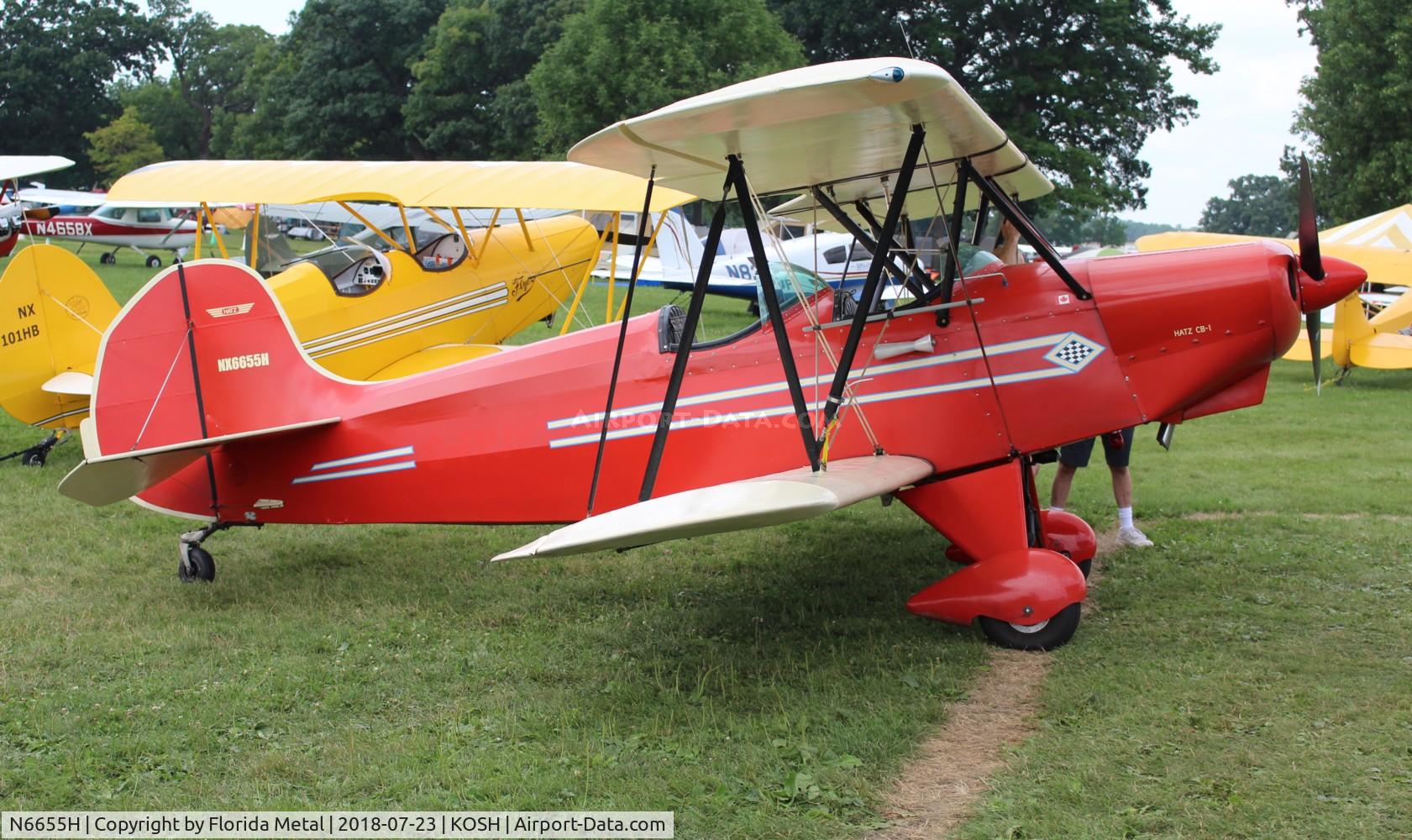 N6655H, 1994 Hatz CB-1 C/N 294, Hatz CB-1