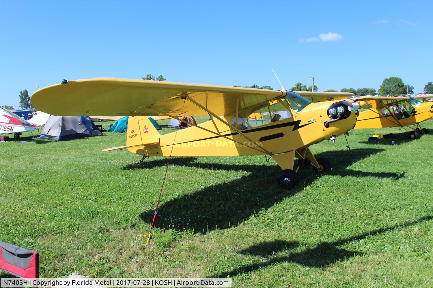 N7403H, Piper J3C-65 Cub Cub C/N 20667, J3 Cub