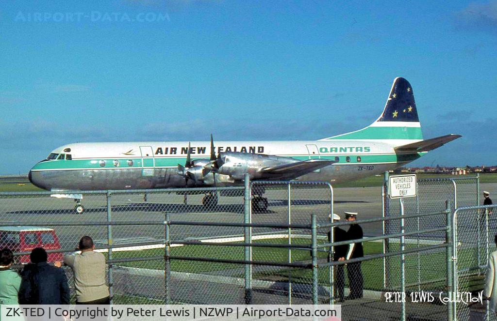 ZK-TED, 1959 Lockheed L.188C Electra C/N 188-2008, Air New Zealand Ltd., Auckland (leased from Qantas) - 1970