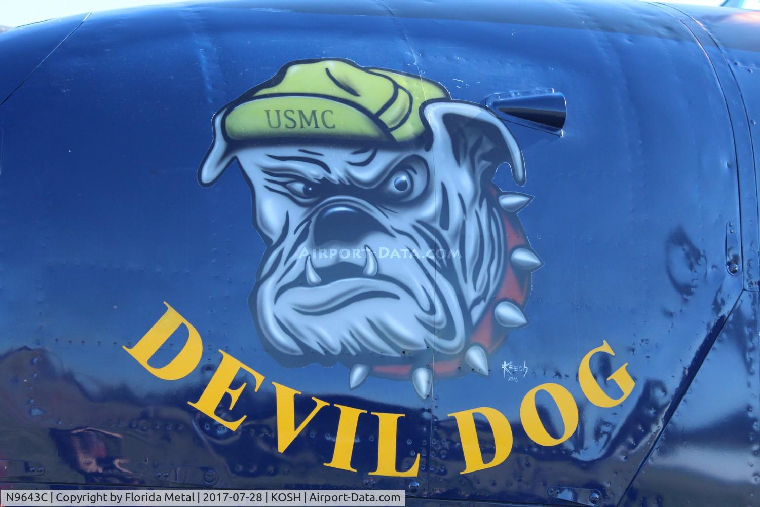 N9643C, 1944 North American B-25J Mitchell Mitchell C/N 108-47512, Devil Dog