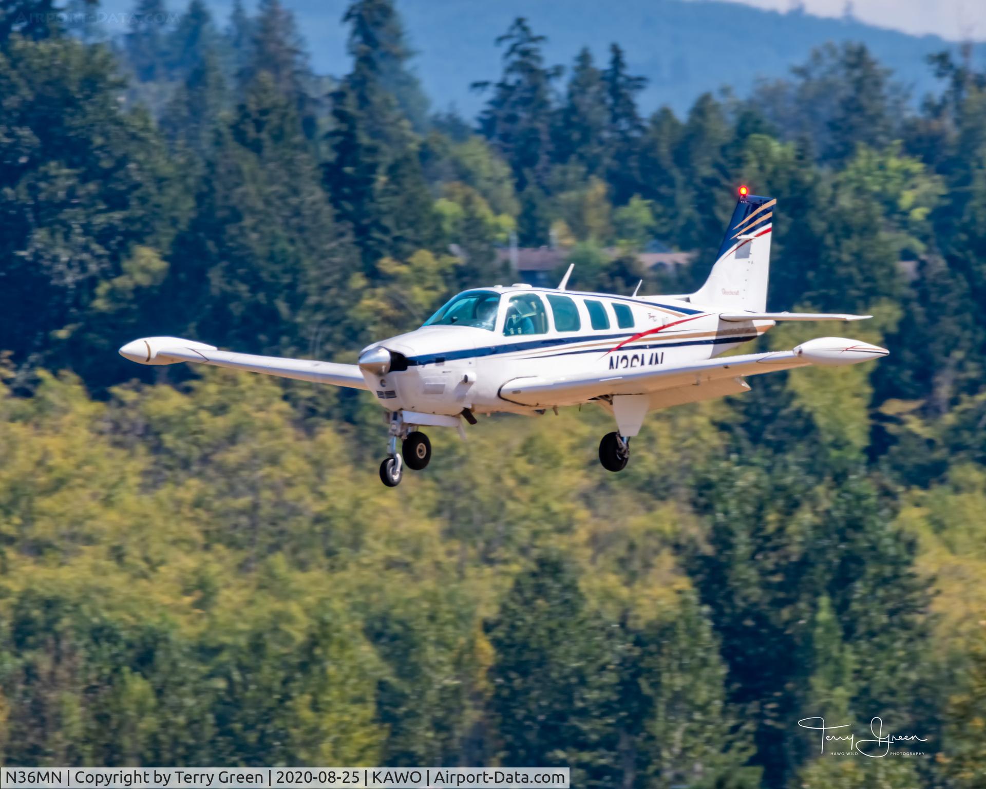 N36MN, 1980 Beech A36TC Bonanza 36 C/N EA-79, KAWO