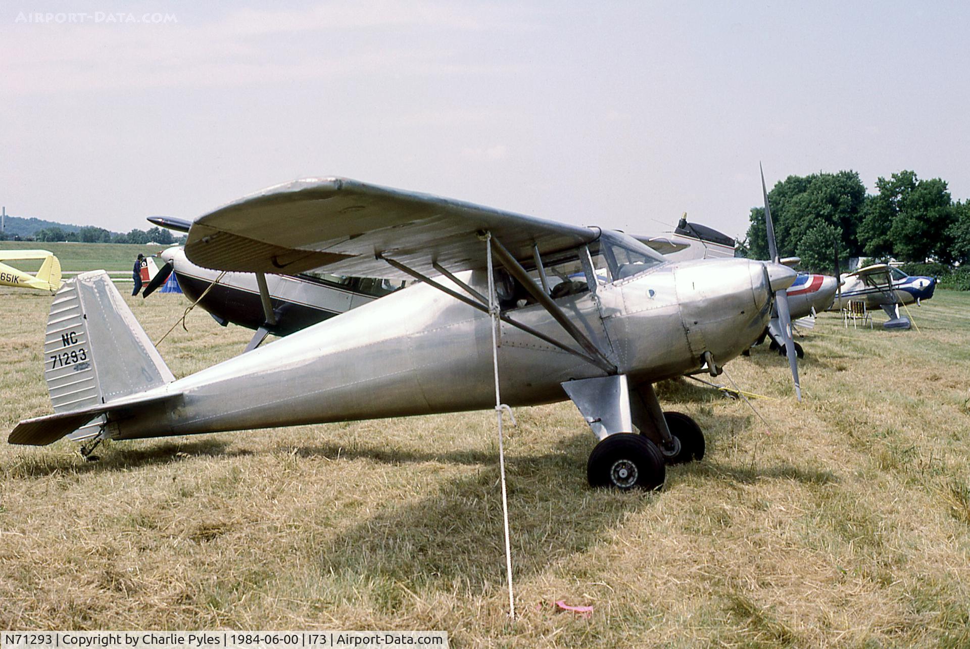 N71293, 1946 Luscombe 8A C/N 2720, 1984 Luscombe Fly-in