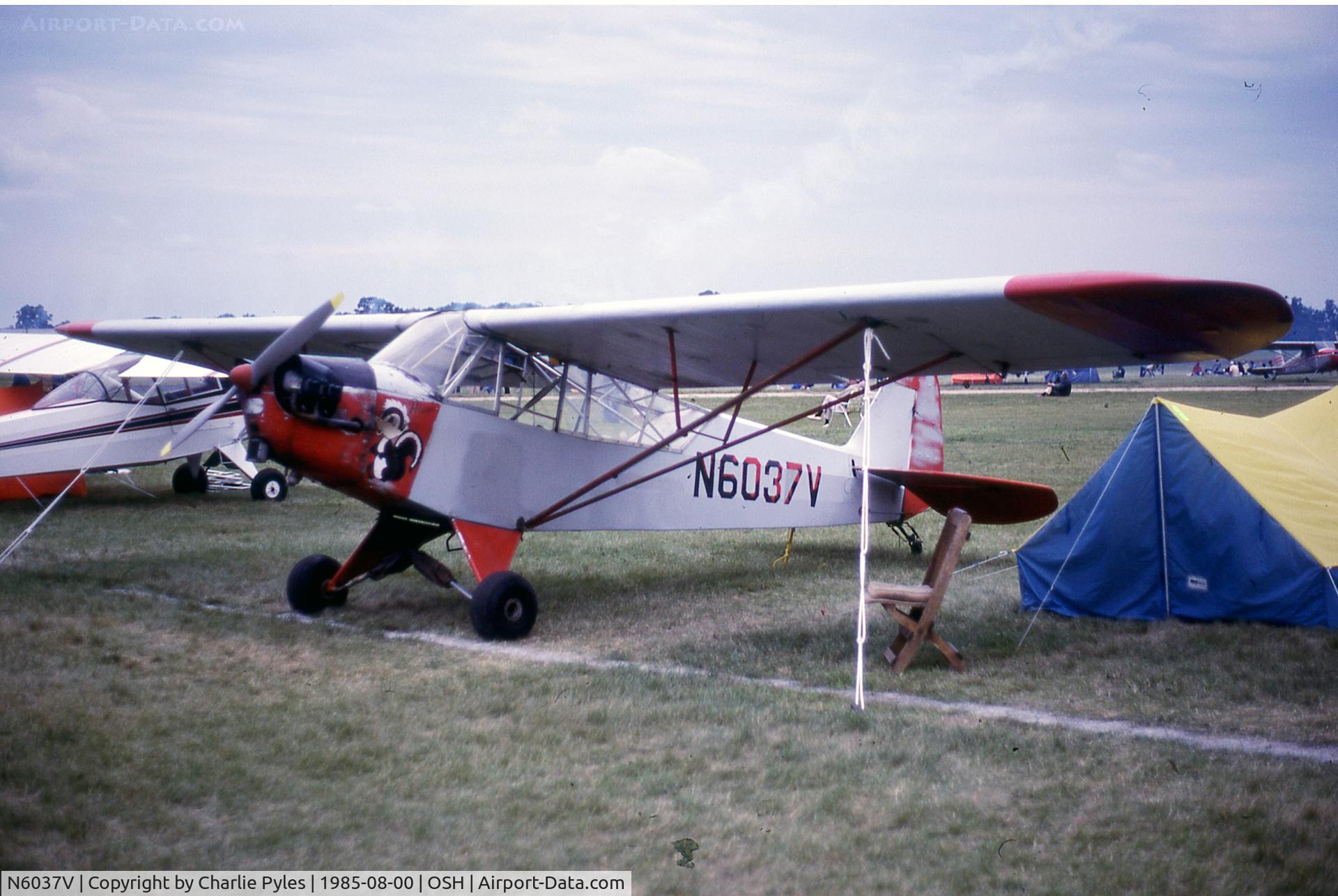 N6037V, Piper J3C-65 Cub C/N 13660, This one looks to be modified in the air-evac version.