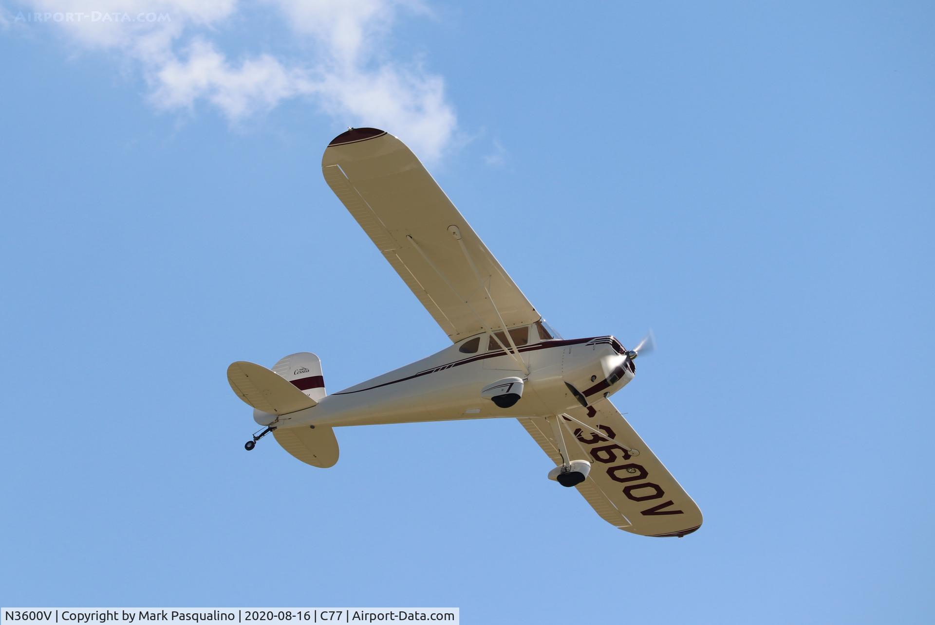 N3600V, 1948 Cessna 140 C/N 14868, Cessna 140
