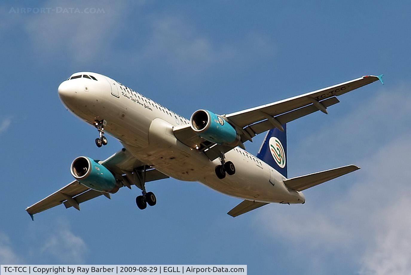 TC-TCC, 2007 Airbus A320-232 C/N 3308, TC-TCC   Airbus A320-232 [3259] (KTHY Cyprus Turkish Airlines) Home~G 29/08/2009