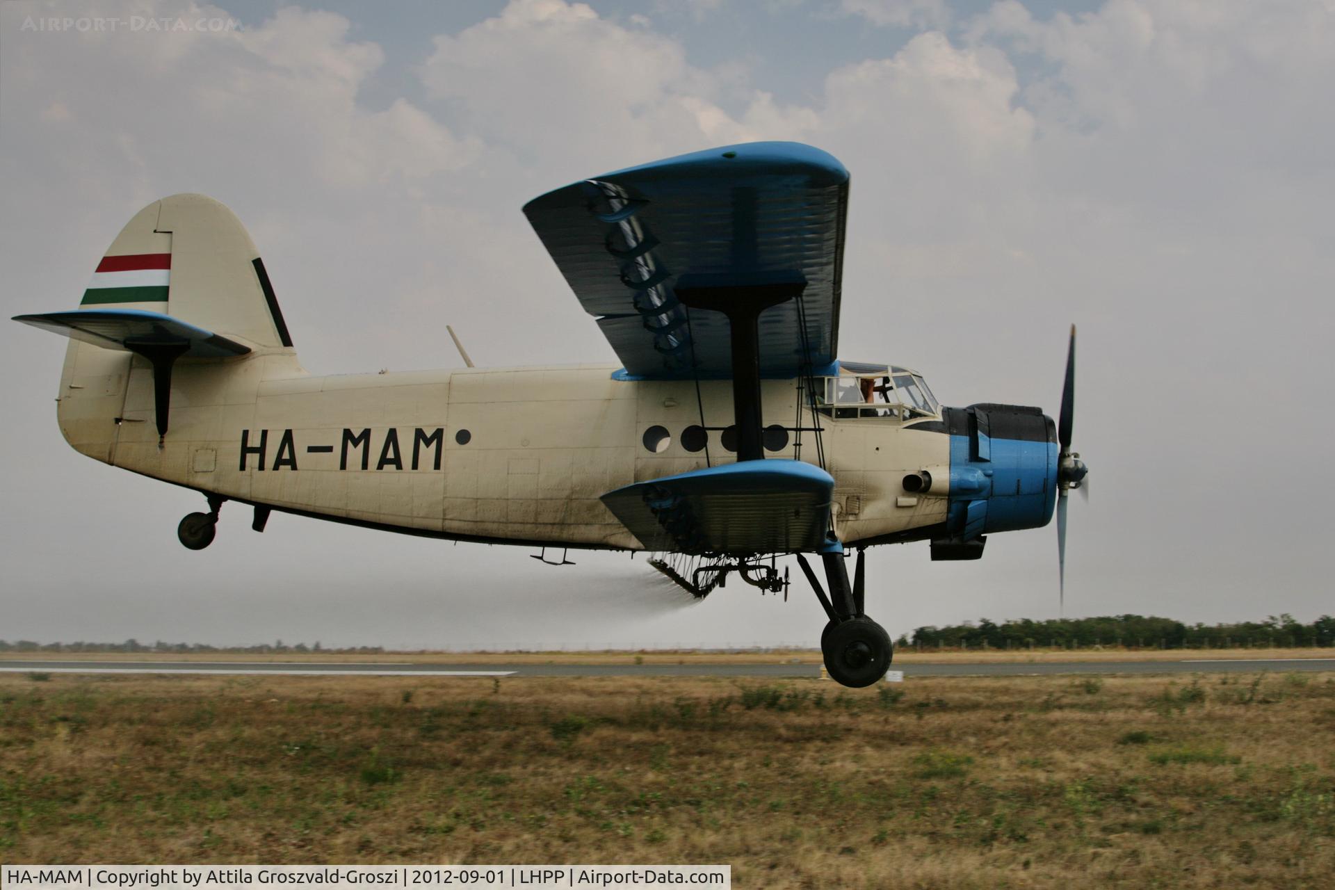 HA-MAM, 1984 PZL-Mielec An-2R C/N 1G208-44, LHPP - Pécs-Pogány Airport, Hungary