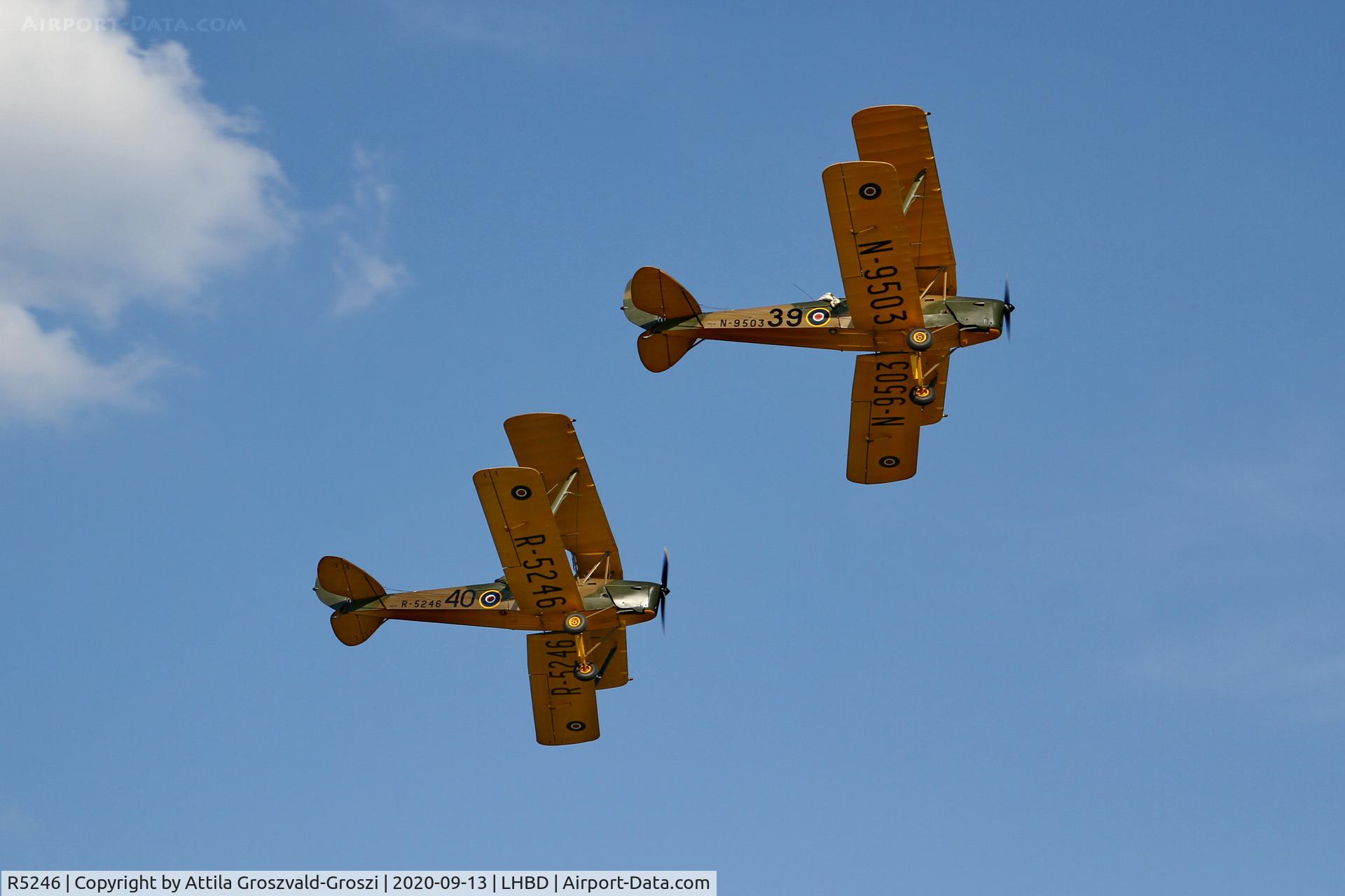 R5246, 1940 De Havilland DH-82A Tiger Moth II C/N 83105, LHBD - Börgönd Airport, Hungary. 2020 Airshow