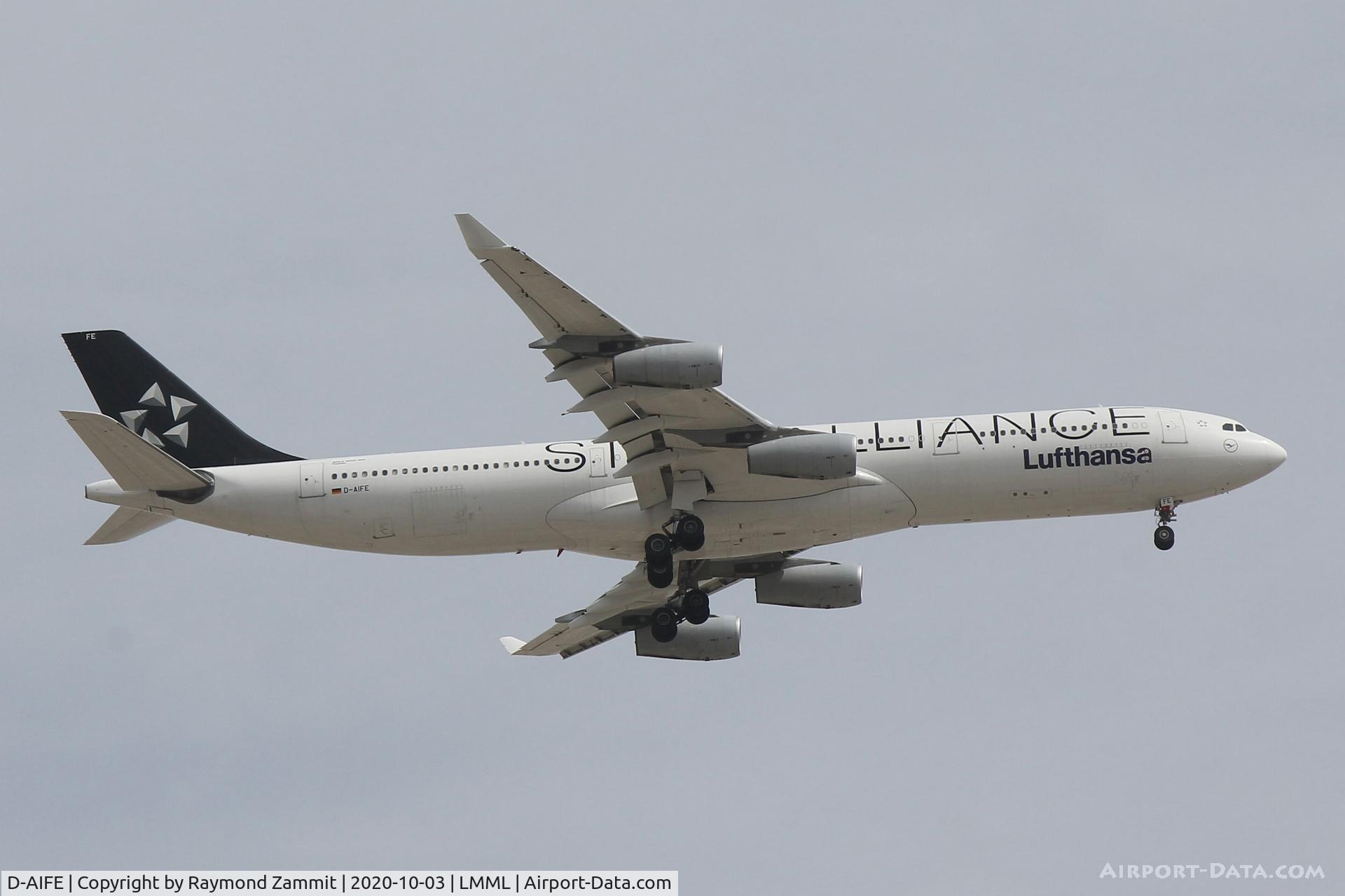 D-AIFE, 2001 Airbus A340-313X C/N 434, A340 D-AIFE Lufthansa Star Alliance