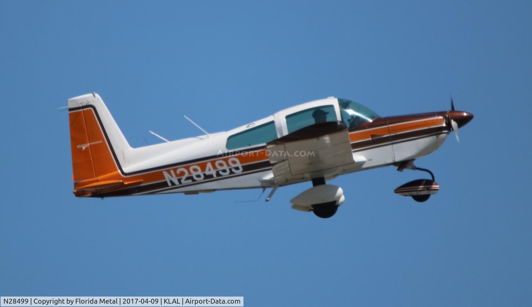 N28499, Grumman American AA-5B Tiger C/N AA5B0642, AA-5B