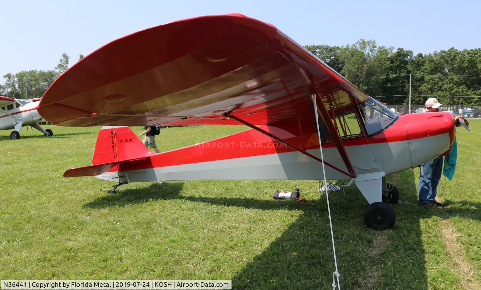 N36441, 1941 Taylorcraft BF-65 C/N 3257, Taylorcraft BF-65