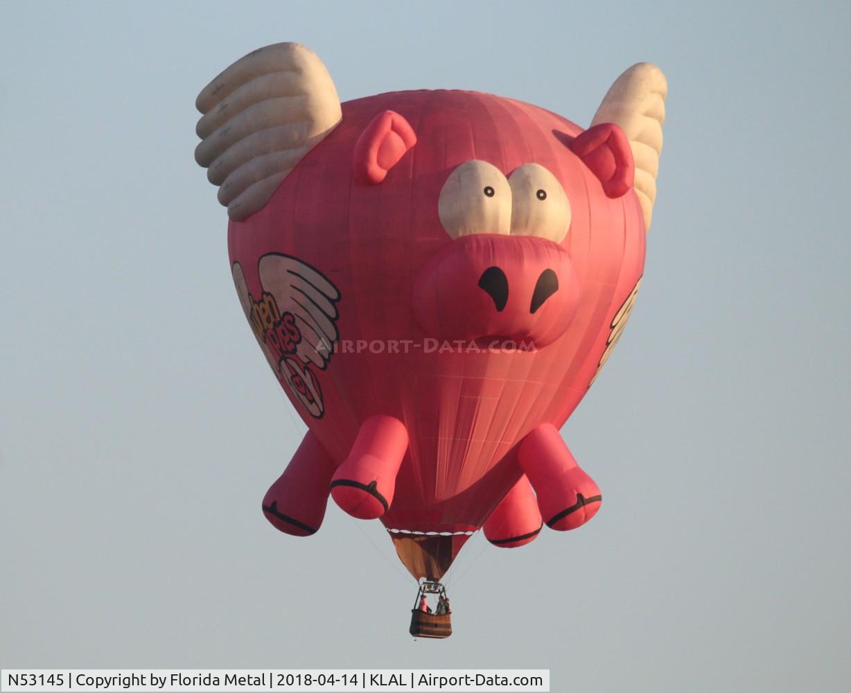 N53145, 2002 Aerostar International Inc S-60S C/N S60S-3006, When Pigs Fly