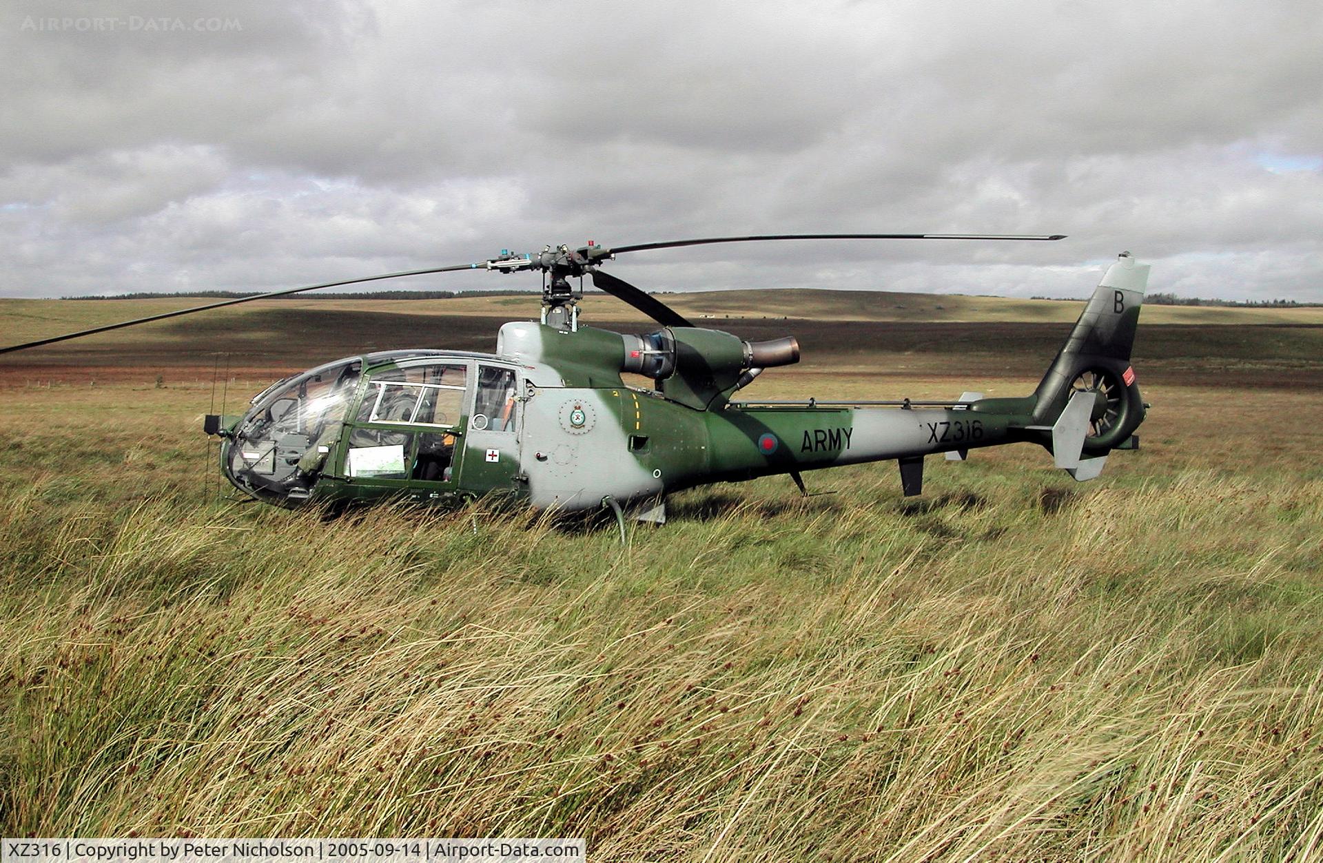 XZ316, 1977 Westland SA-341B Gazelle AH1 C/N 1599, Gazelle AH.1, Callsign Army Air 719, of 666(V) Squadron in action in September 2005.