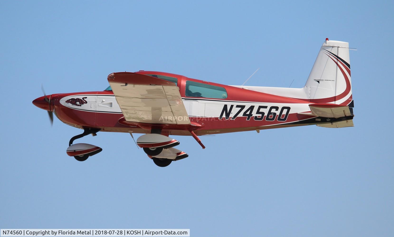 N74560, 1976 Grumman American AA-5B Tiger C/N AA5B-0251, AA-5B