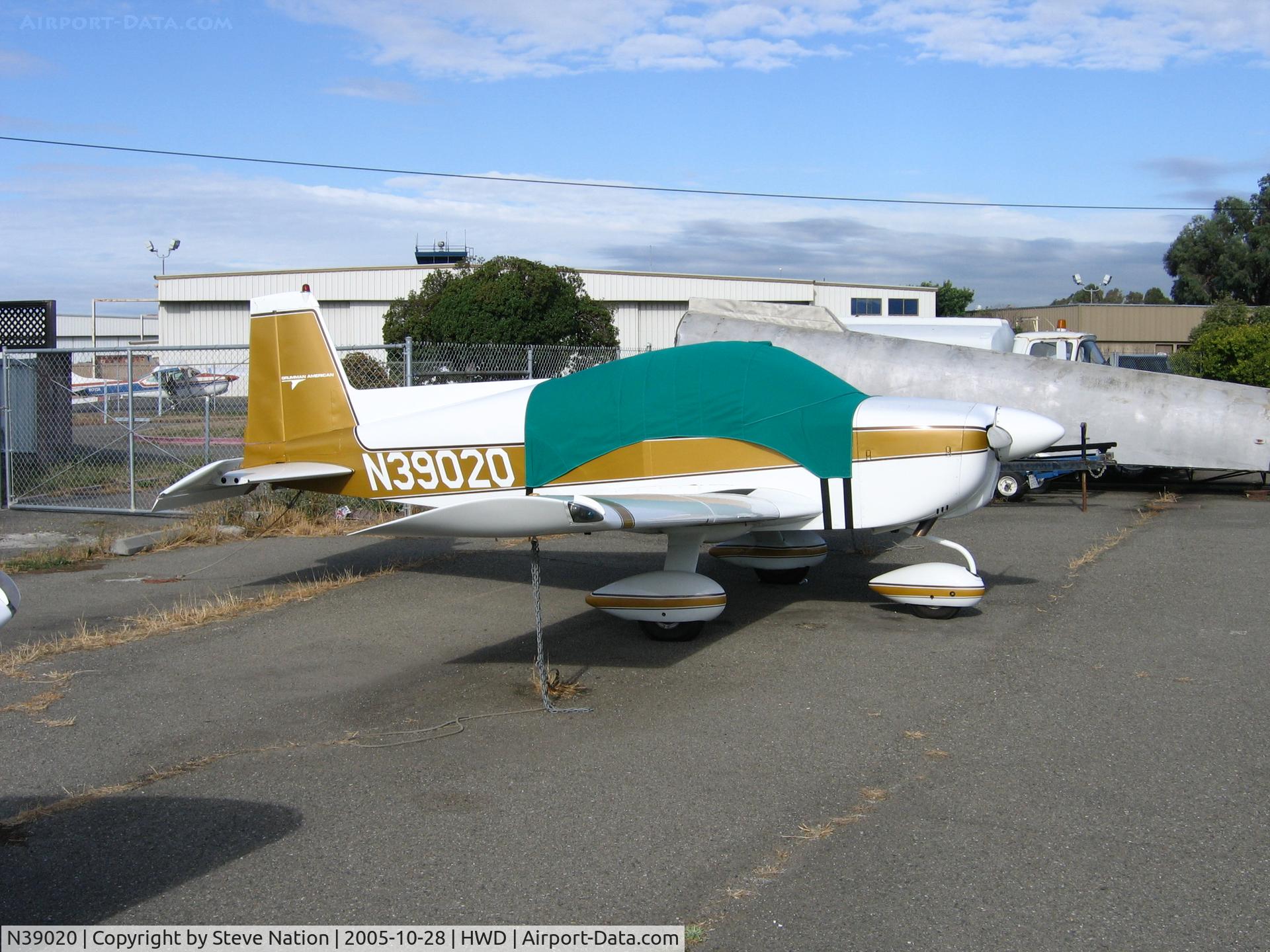 N39020, 1978 Grumman American AA-1C Lynx C/N AA1C0188, John Diegoli's 1978 Grumman American AA-1C at Hayward, CA