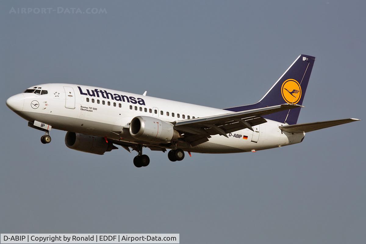 D-ABIP, 1991 Boeing 737-530 C/N 24940, at fra