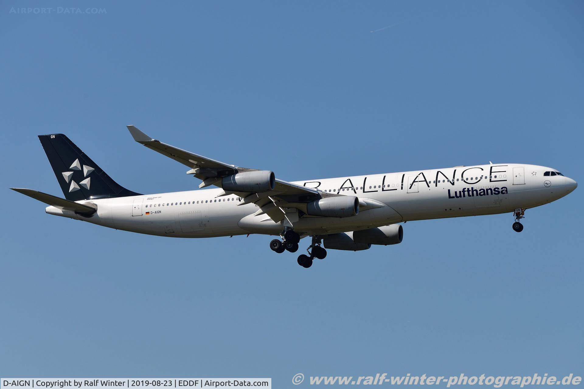D-AIGN, 1998 Airbus A340-313 C/N 213, Airbus A340-313 - LH DLH Lufthansa Star Alliance 'Solingen' - 213 - D-AIGN - 23.08.2019 - FRA
