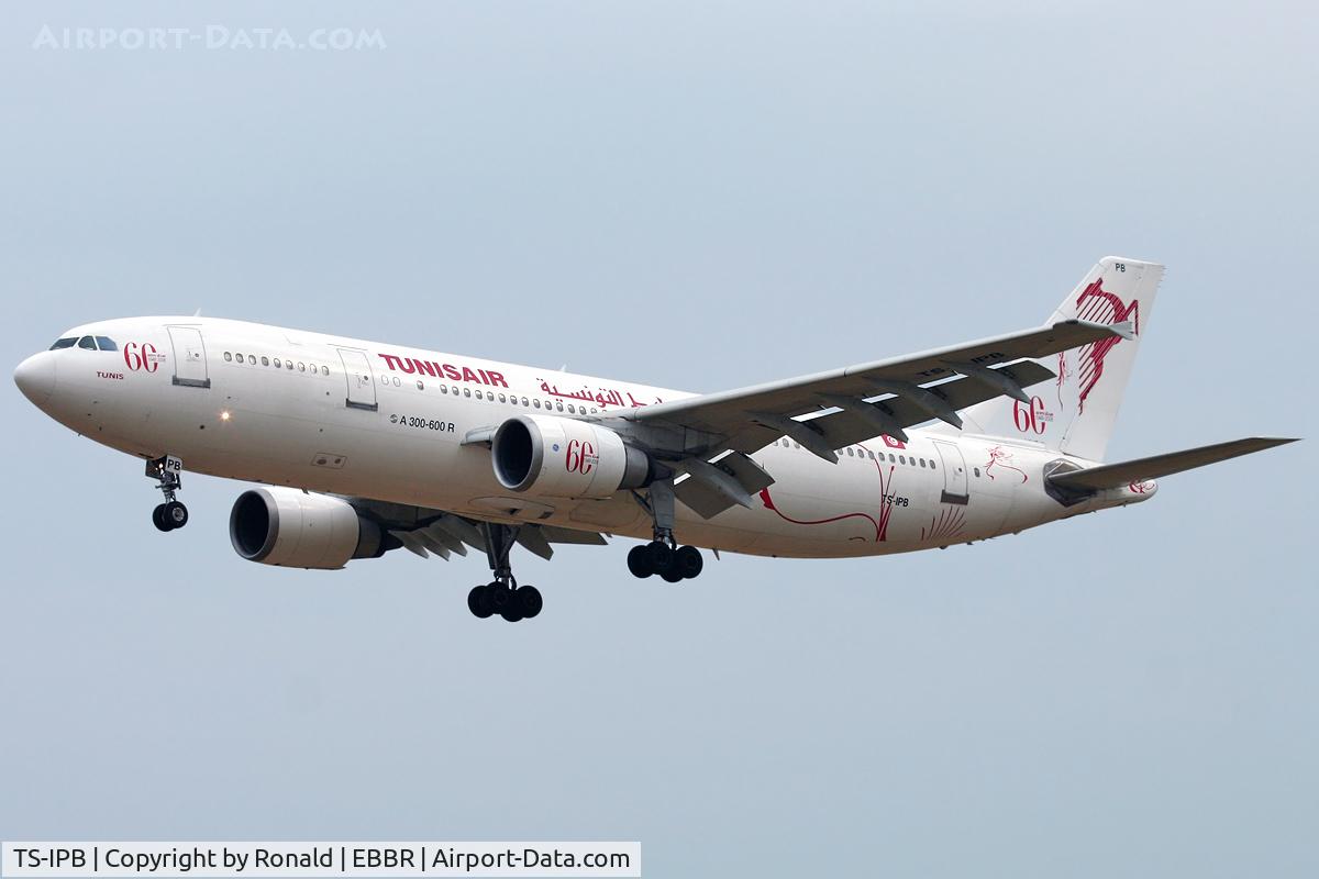 TS-IPB, 1990 Airbus A300B4-605R C/N 563, at bru