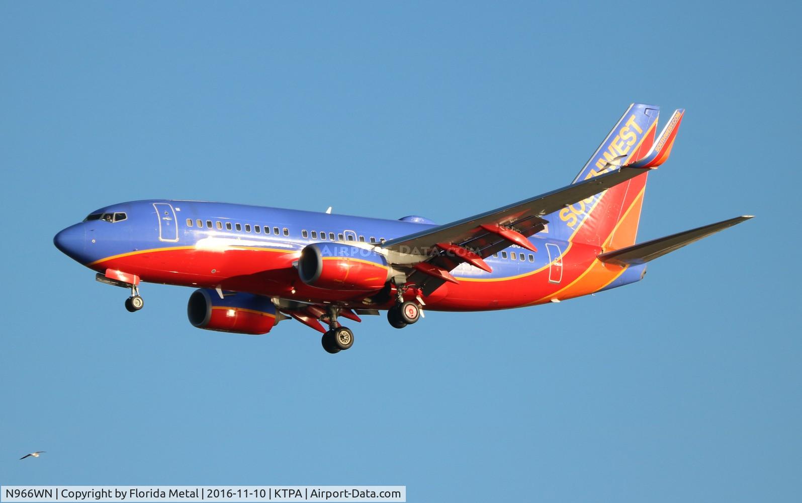 N966WN, 2011 Boeing 737-7H4 C/N 36966, TPA spotting 2016