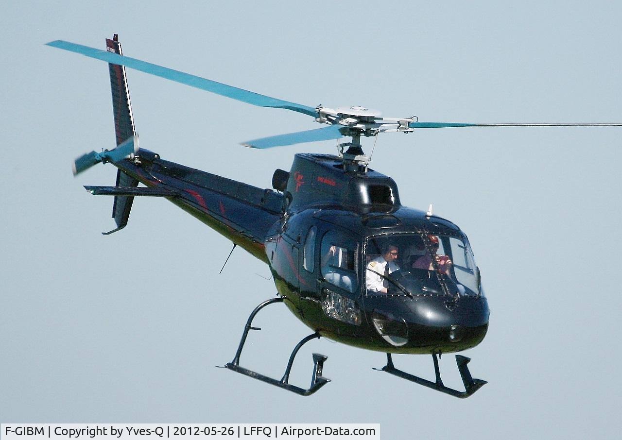F-GIBM, 2008 Aerospatiale AS-350D AStar C/N 1424, Aerospatiale AS-350B Ecureuil, La Ferté-Alais airfield (LFFQ) Airshow 2012