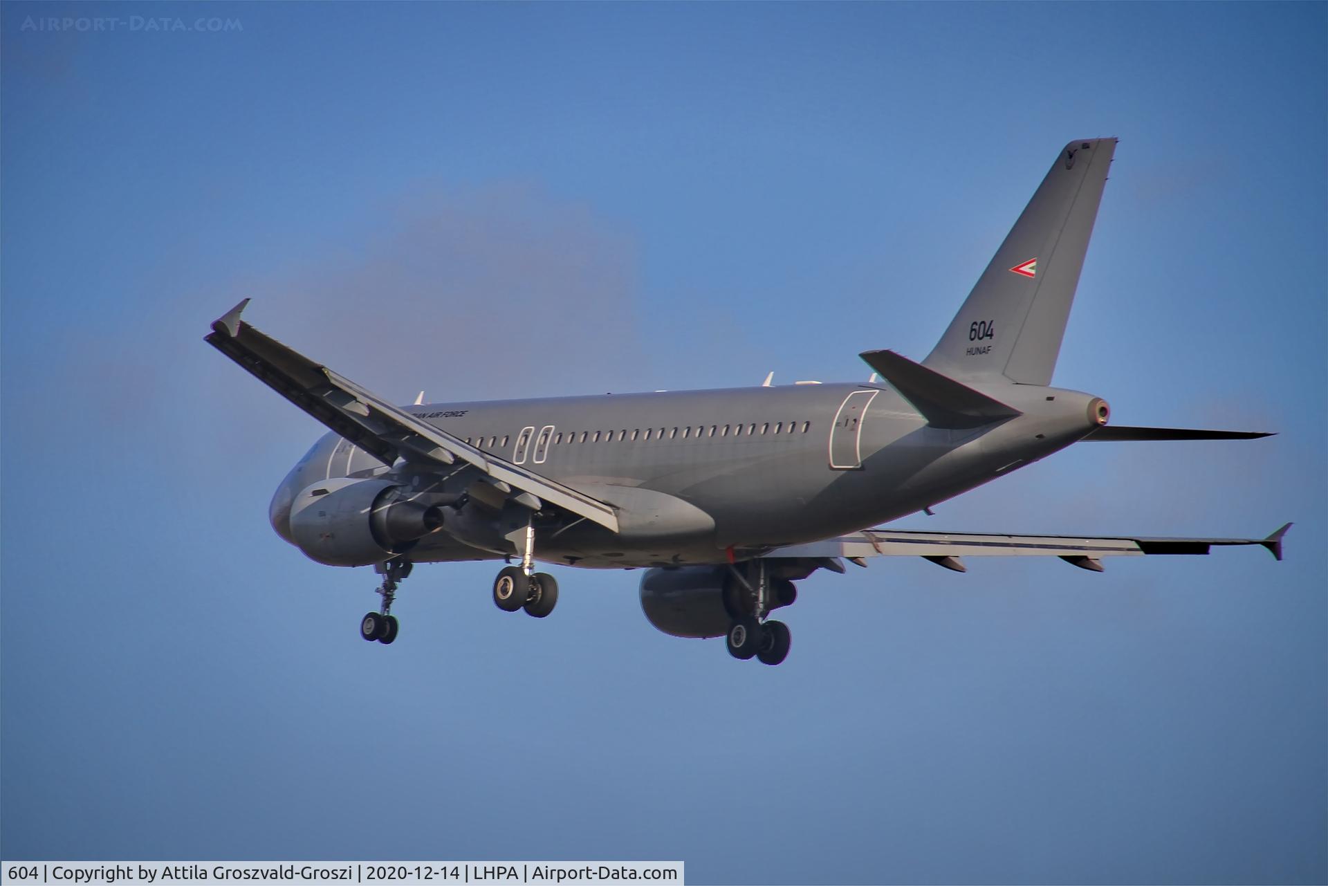 604, 2008 Airbus A319-112 C/N 3604, LHPA Pápa Air Base, Hungary