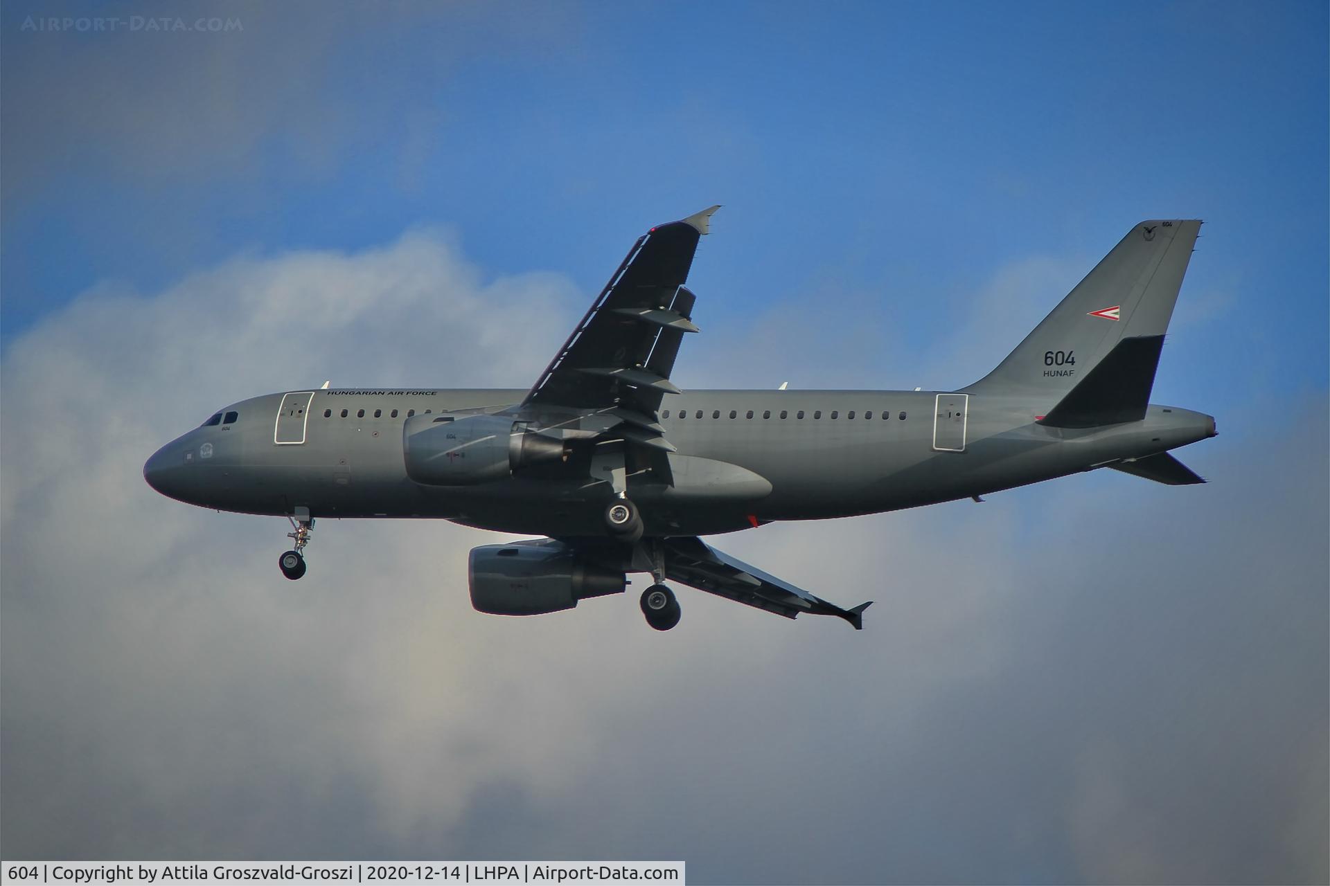 604, 2008 Airbus A319-112 C/N 3604, LHPA Pápa Air Base, Hungary