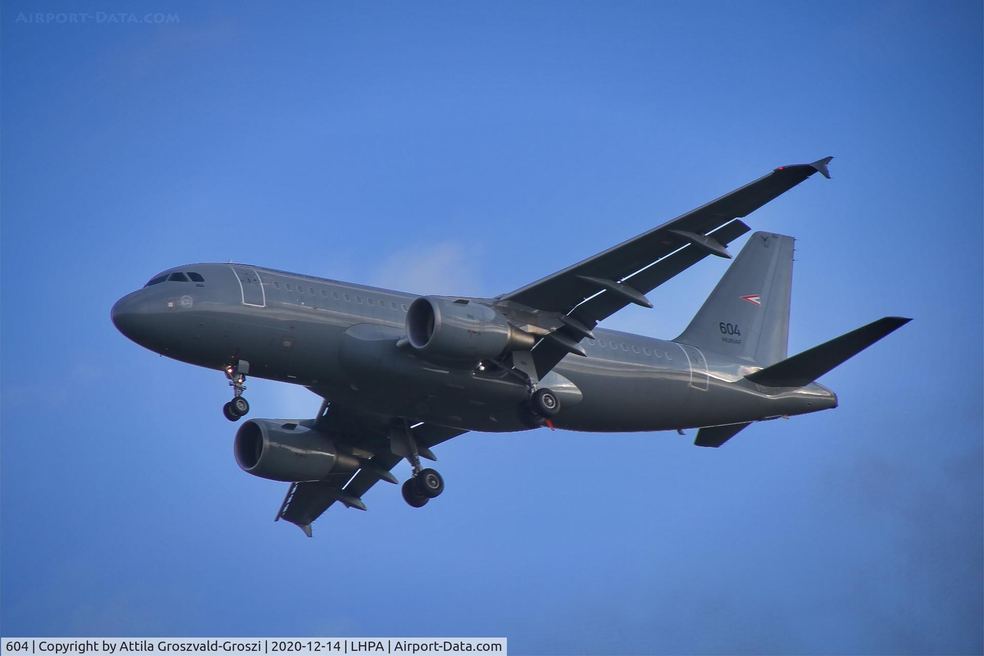 604, 2008 Airbus A319-112 C/N 3604, LHPA Pápa Air Base, Hungary