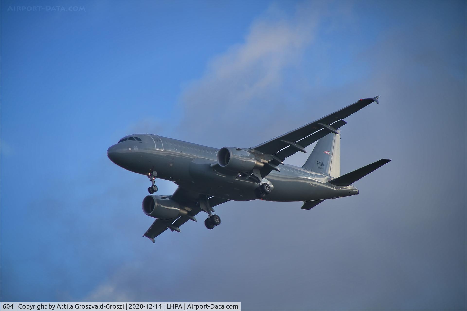 604, 2008 Airbus A319-112 C/N 3604, LHPA Pápa Air Base, Hungary
