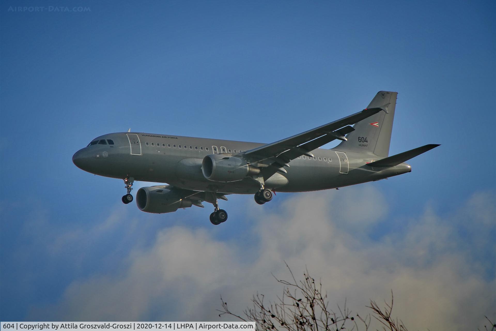 604, 2008 Airbus A319-112 C/N 3604, LHPA Pápa Air Base, Hungary
