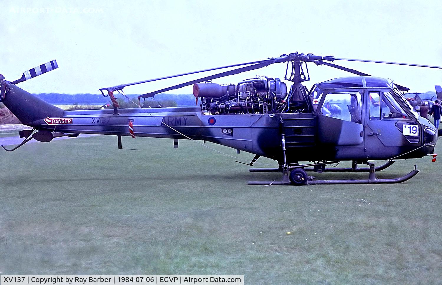 XV137, 1967 Westland Scout AH.1 C/N F9712, XV137   Westland Scout AH.1, [F9712] (Army Air Corps) AAC Middle Wallop~G @ 06/07/1984