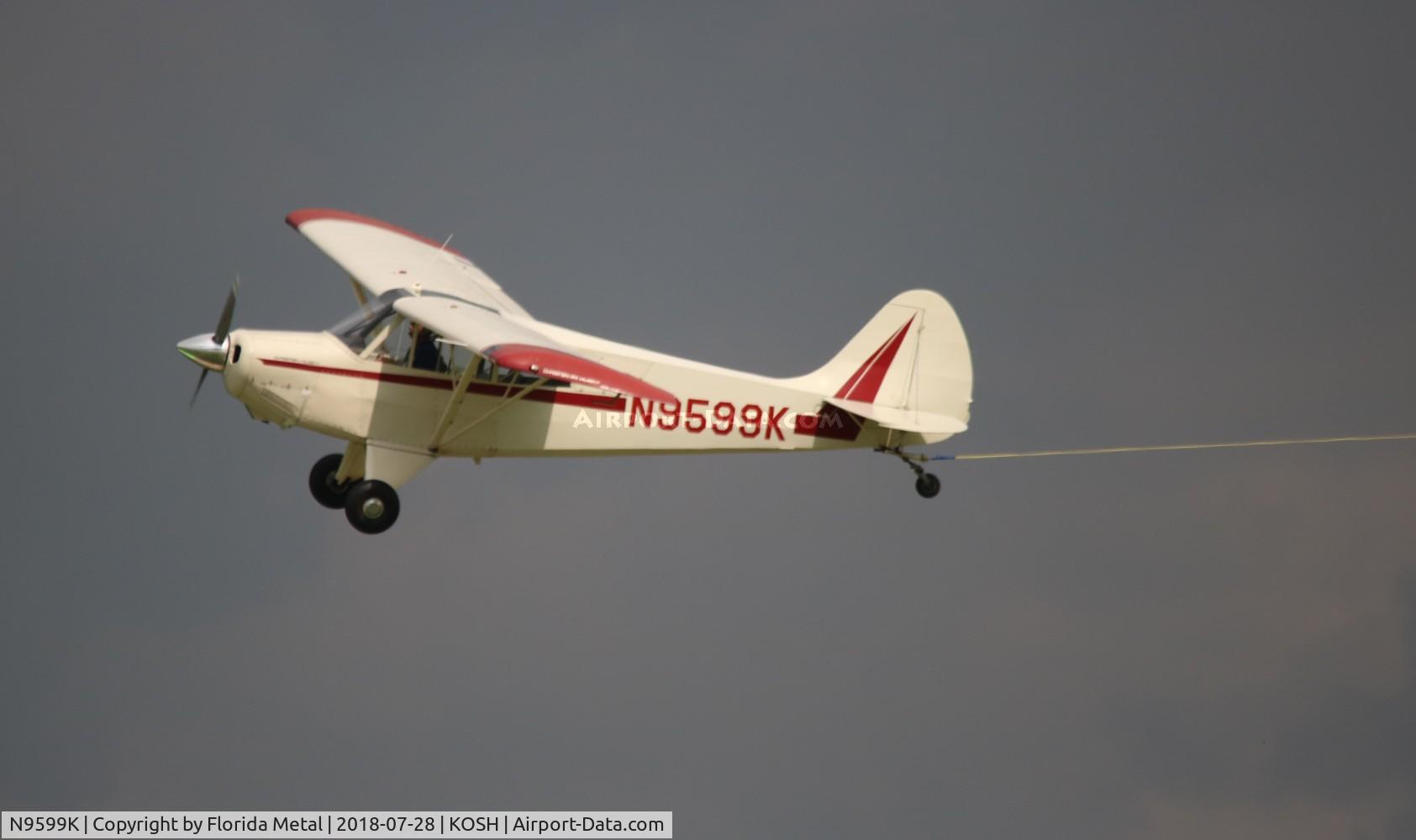 N9599K, 1989 Christen A-1 Husky C/N 1111, EAA OSH 2018