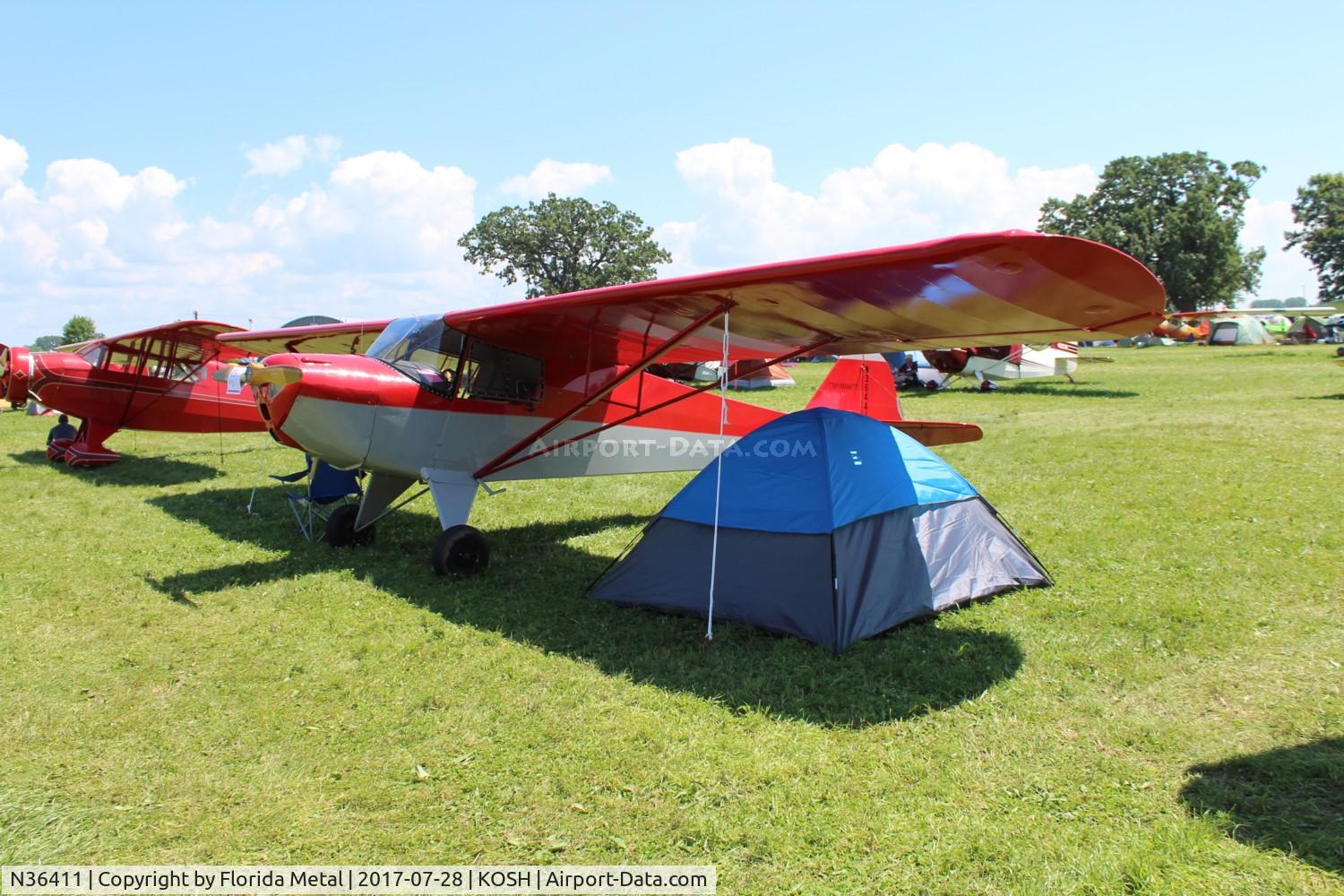 N36411, 1973 Bellanca 7GCAA C/N 273-73, EAA OSH 2017