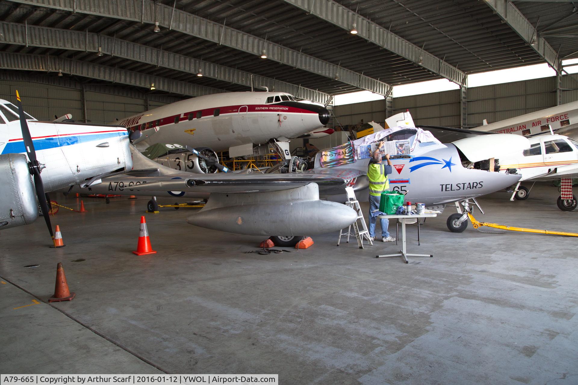 A79-665, De Havilland Australia DH-115 Vampire T.35 C/N DHA4187, Historic Aircraft Restoration Society, Albion Park NSW Jan 2016