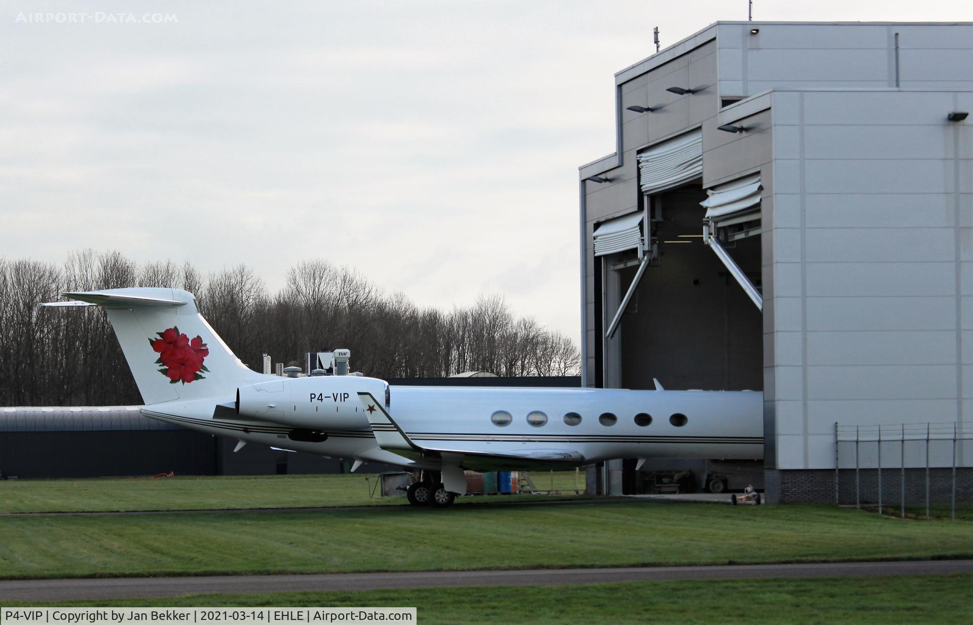 P4-VIP, Gulfstream Aerospace Gulstream V C/N 669, After changing its livery (now withe a bunch of flowers on its tail) coming out of  the Satys Hangar