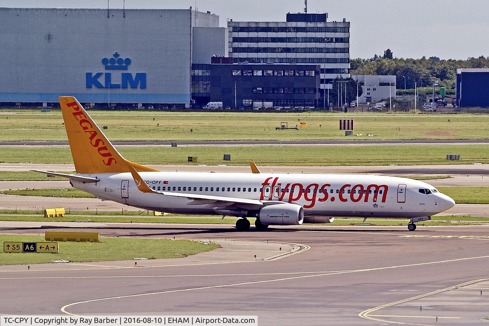 TC-CPY, 2015 Boeing 737-8H6 C/N 41767, TC-CPY   Boeing 737-8H6 [41767] (Pegasus Airlines) Amsterdam-Schiphol~PH 10/08/2016