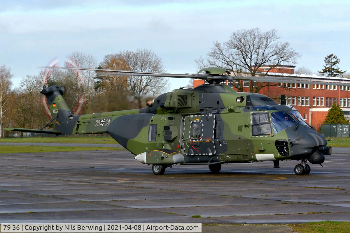 79 36, NHI NH-90 TTH Caiman C/N TGEE36, 79+36