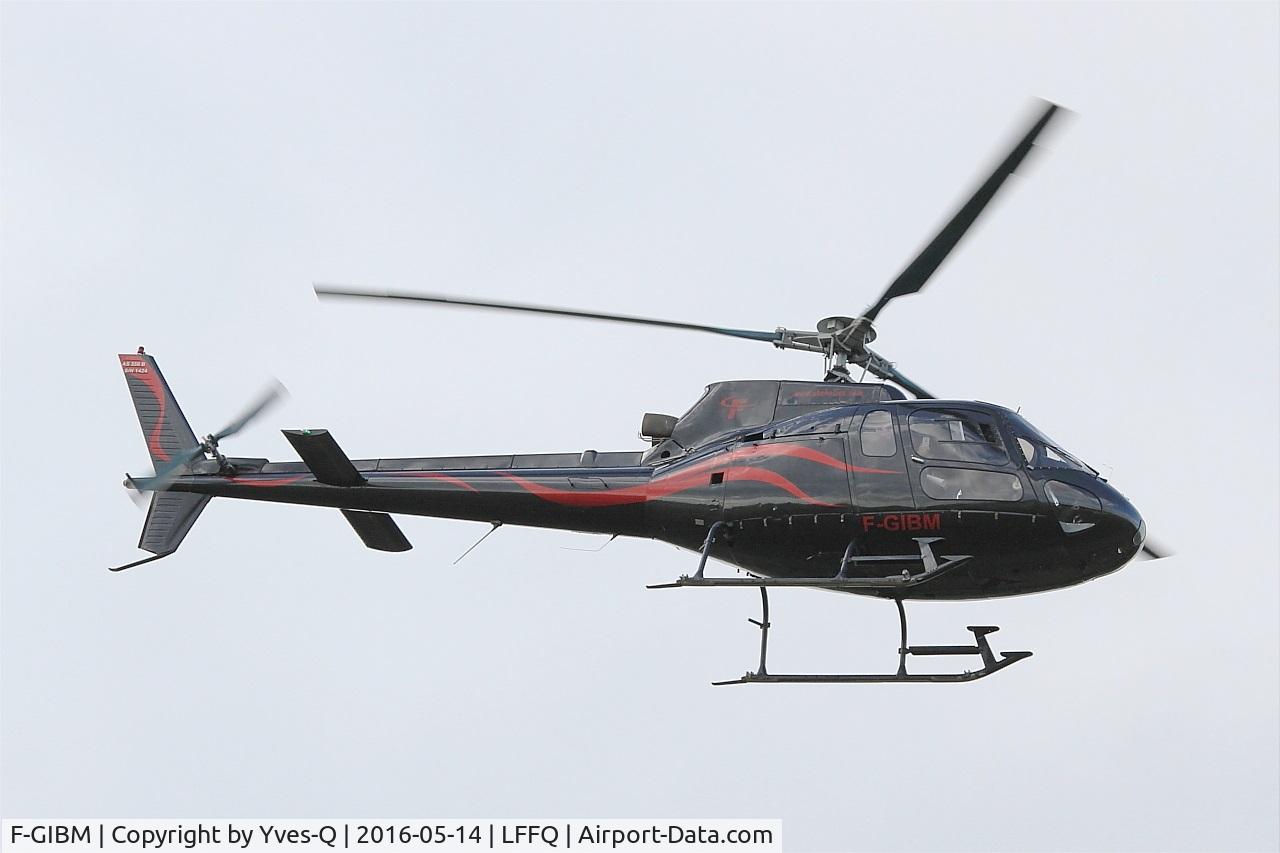 F-GIBM, 2008 Aerospatiale AS-350D AStar C/N 1424, Aerospatiale AS-350B Ecureuil, La Ferté-Alais airfield (LFFQ) Airshow 2016