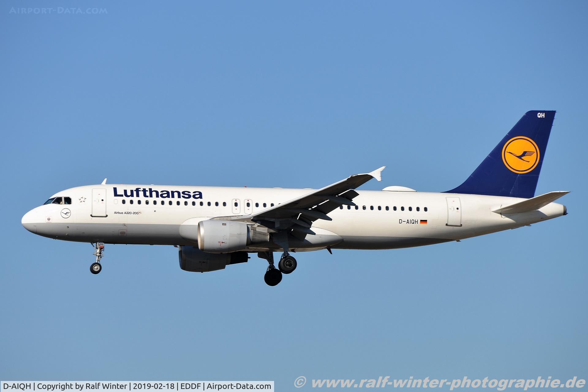 D-AIQH, 1991 Airbus A320-211 C/N 217, Airbus A320-211 - LH DLH Lufthansa 'Dessau' - 217 - D-AIQH - 18.02.2019 - FRA