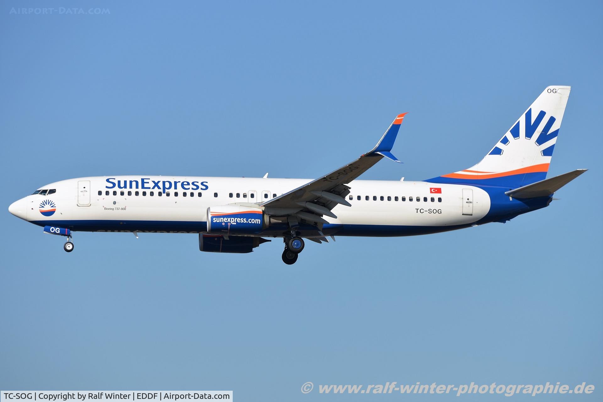 TC-SOG, 2017 Boeing 737-800 C/N 61179, Boeing 737-8HC(W) - XQ SXS SunExpress - 61179 - TC-SOG - 18.02.2019 - FRA