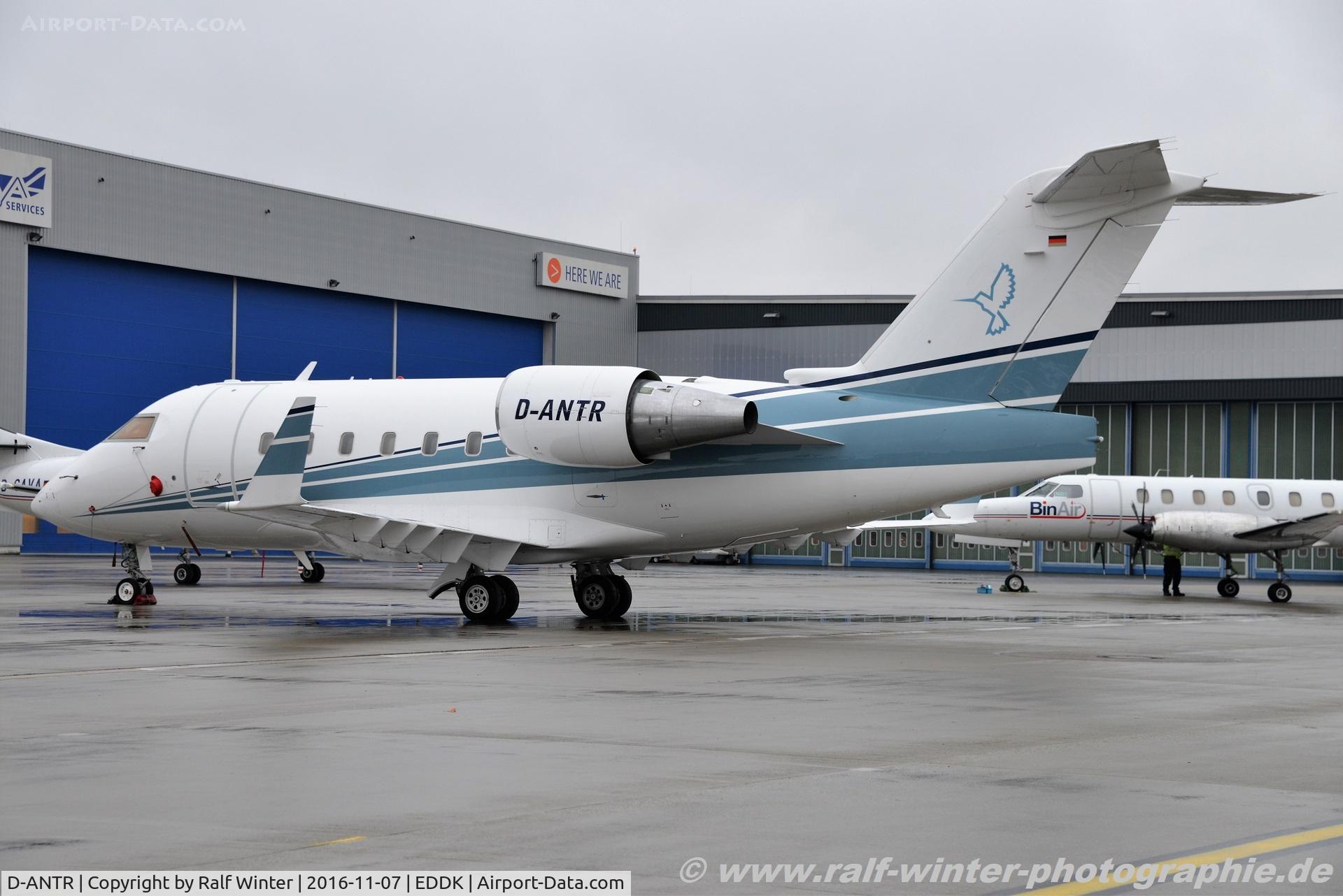D-ANTR, 2005 Bombardier Challenger 604 (CL-600-2B16) C/N 5616, Bombardier CL-600-2B16 Challenger 604 - MHV MHS Aviation - 5616 - D-ANTR - 07.11.2016 - CGN