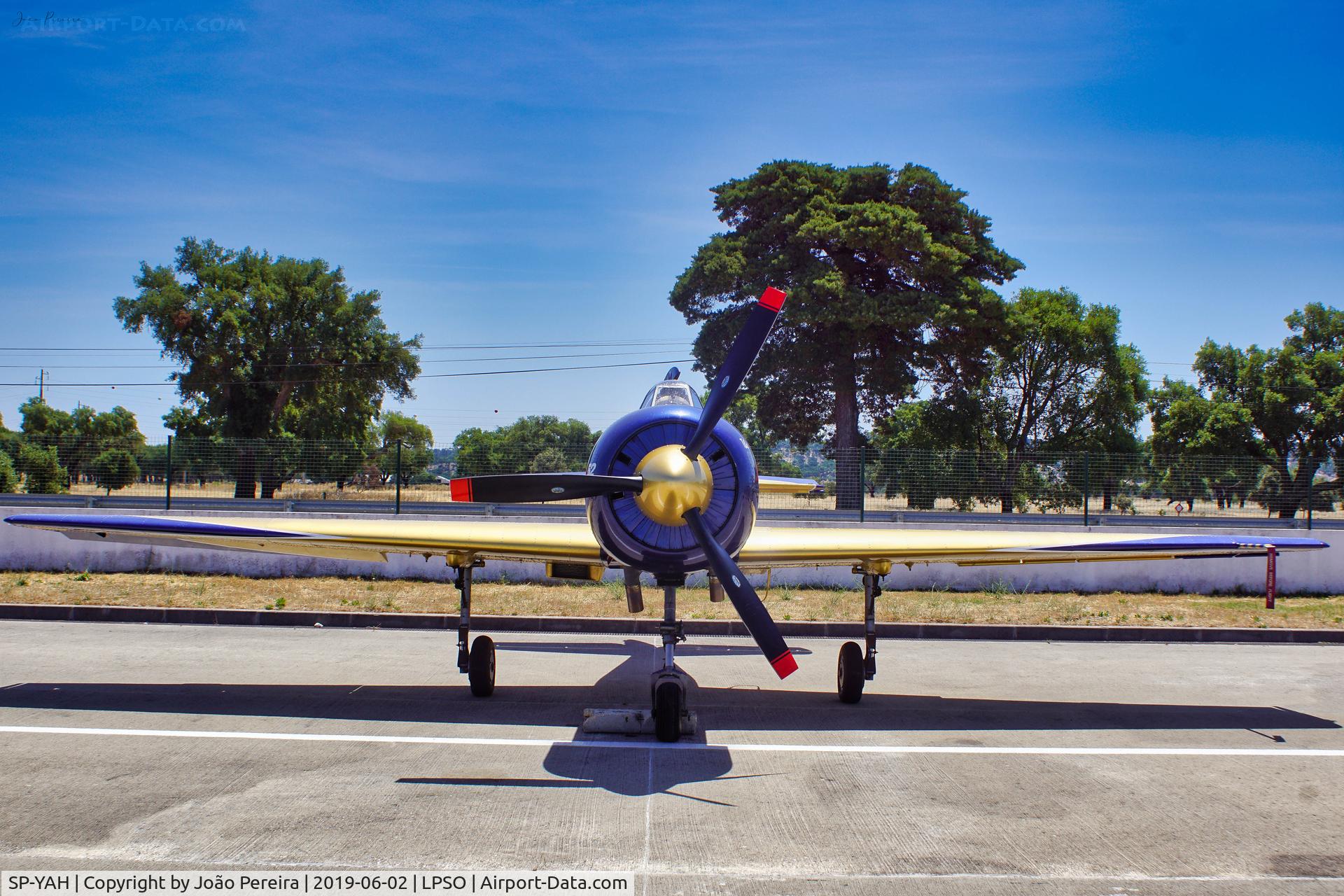 SP-YAH, 1990 Bacau Yak-52 C/N 9011001, The photo was taken at the event 
