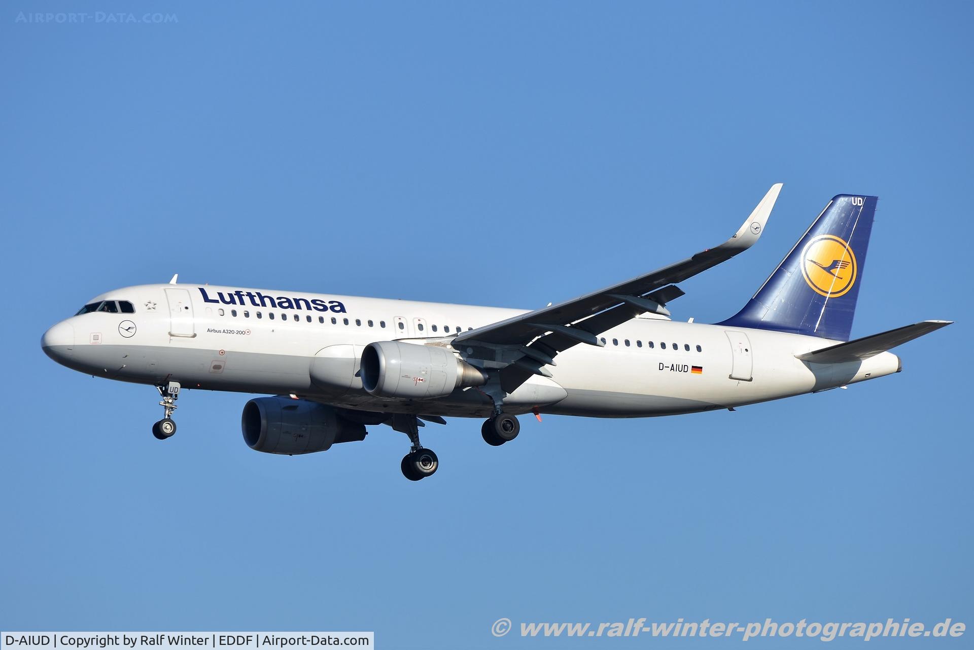D-AIUD, 2014 Airbus A320-214 C/N 6033, Airbus A320-214(W) - LH DLH Lufthansa - 6033 - D-AIUD - 18.02.2019 -  FRA