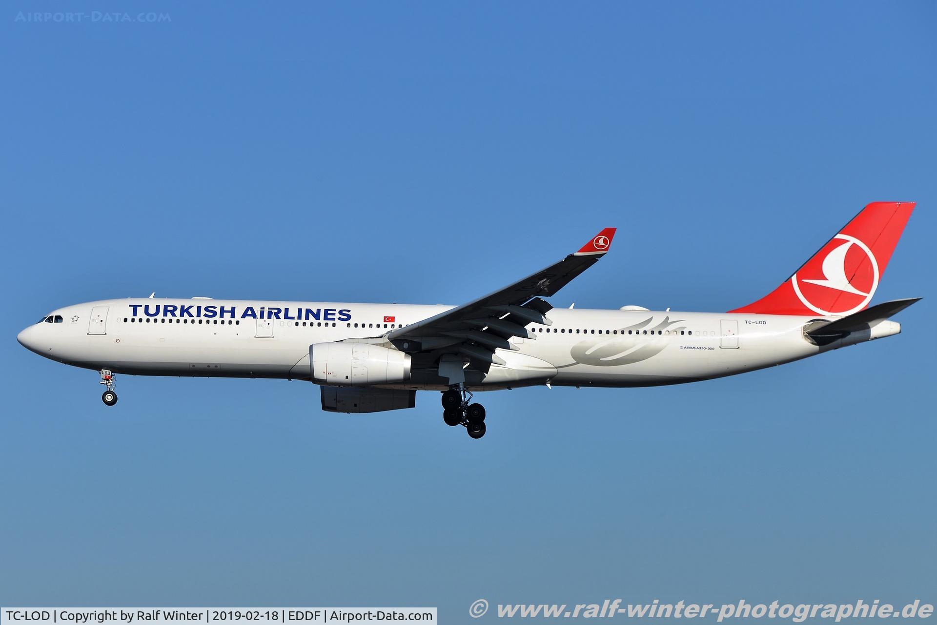 TC-LOD, 2014 Airbus A330-343 C/N 1554, Airbus A330-343 - TK THY Turkish Airlines - 1554 - TC-LOD - 18.02.2019 - FRA