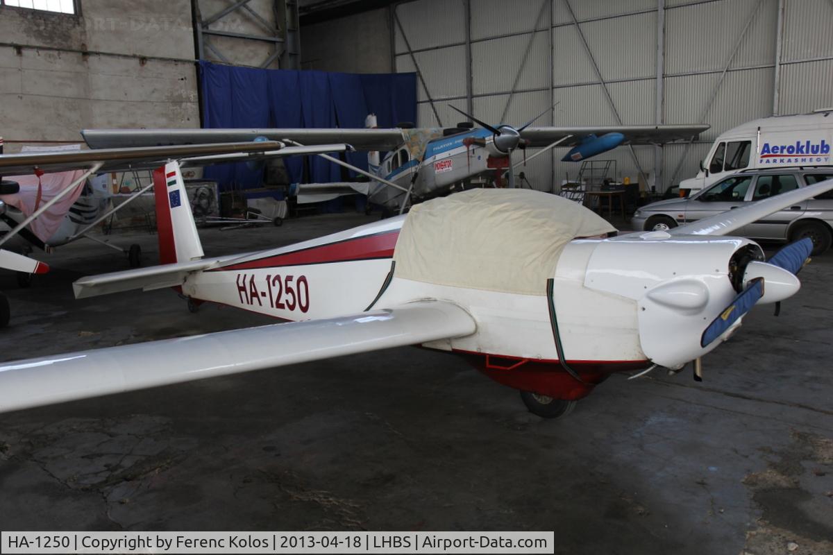 HA-1250, 1968 Scheibe SF-25B Falke C/N 4632, lhbs