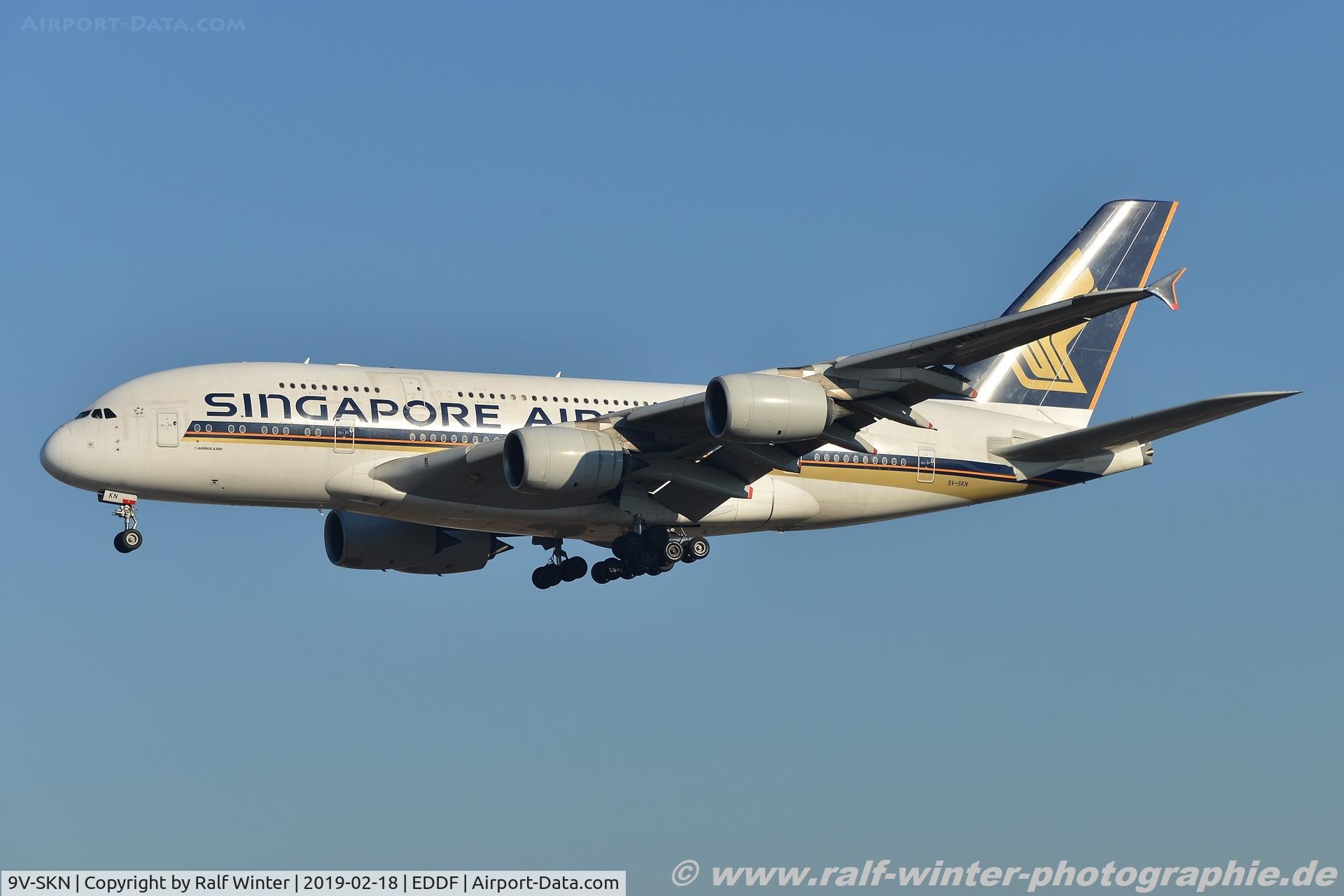 9V-SKN, 2011 Airbus A380-841 C/N 071, Airbus A380-841 - SQ SIA Singapore Airlines - 71 - 9V-SKN - 18.02.2019 - FRA