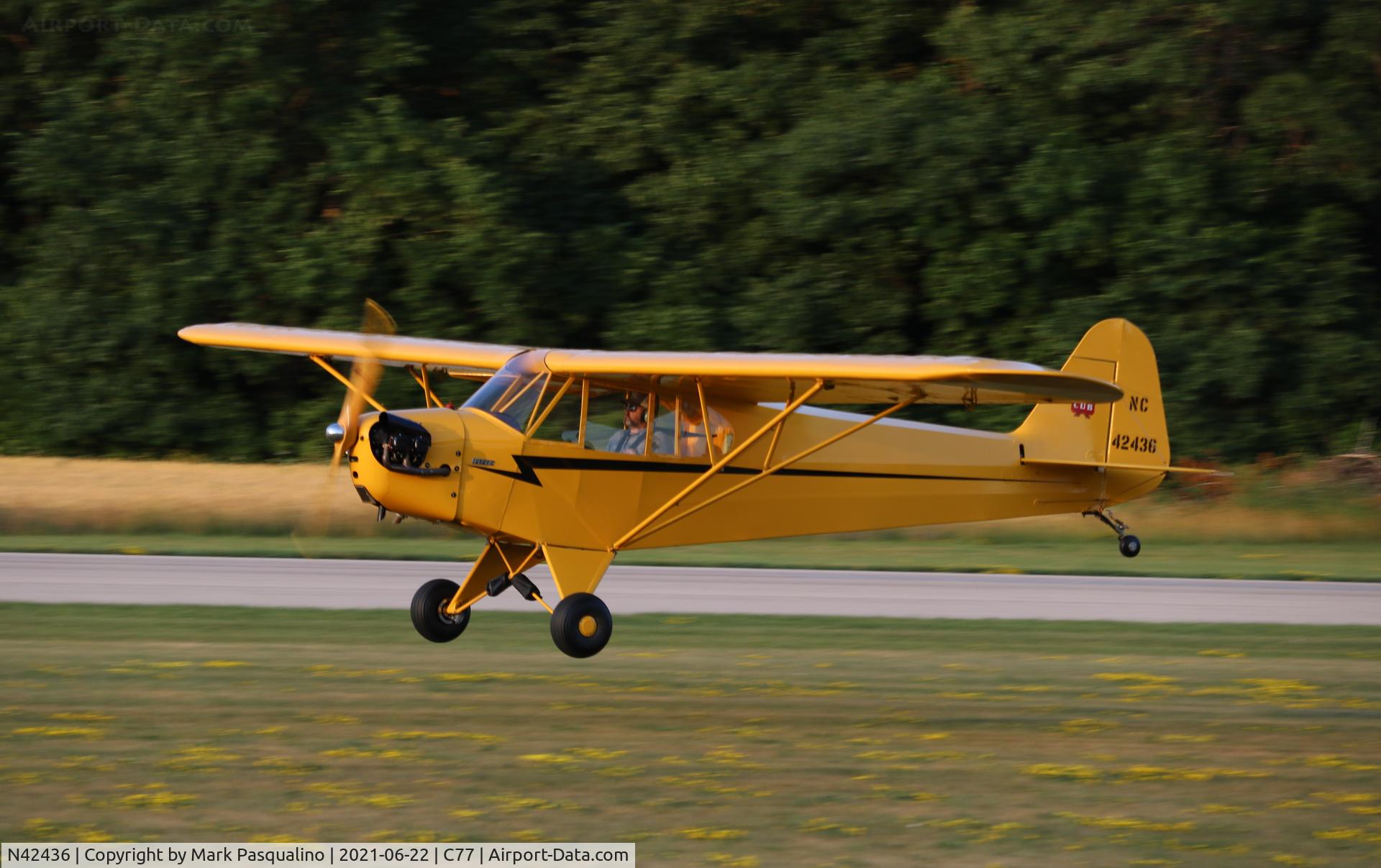N42436, 1945 Piper J3C-65 Cub Cub C/N 14700, Piper J3C-65