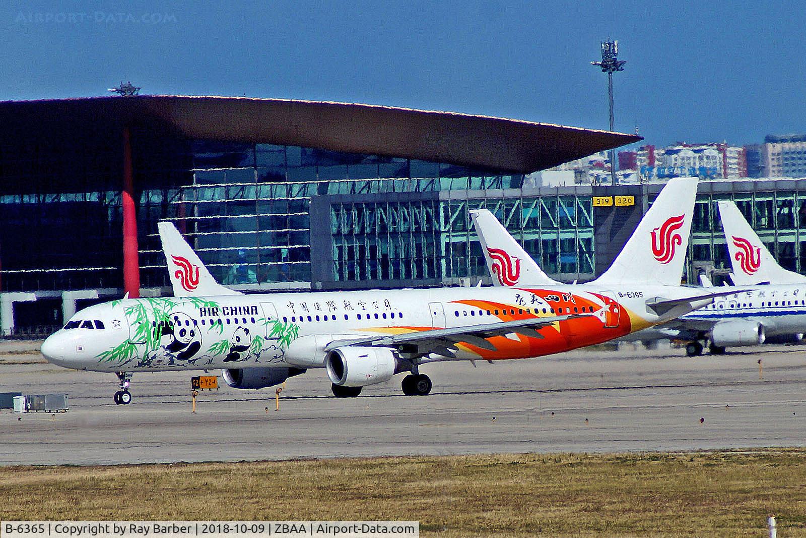 B-6365, 2008 Airbus A321-213 C/N 3655, B-6365   Airbus A321-213 [3655] (Air China) Beijing Capital Int'l~B 09/10/2018