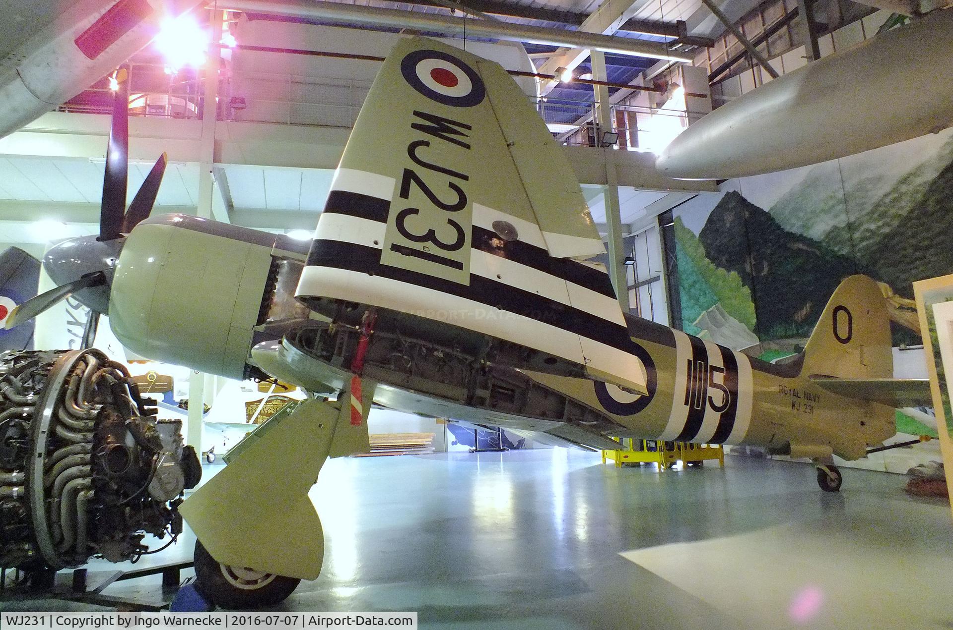 WJ231, Hawker Sea Fury FB.11 C/N Not found WJ231, Hawker Sea Fury FB11 at the FAA Museum, Yeovilton