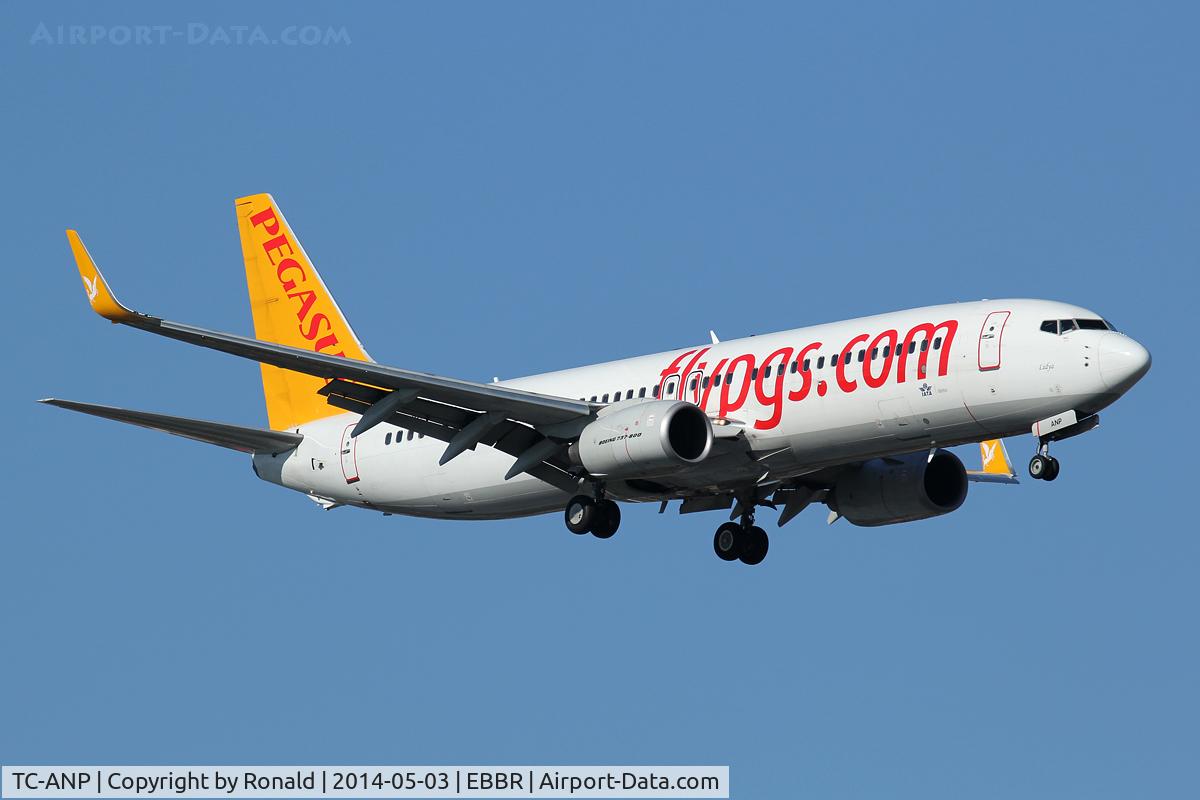 TC-ANP, 2011 Boeing 737-82R C/N 40722, at bru