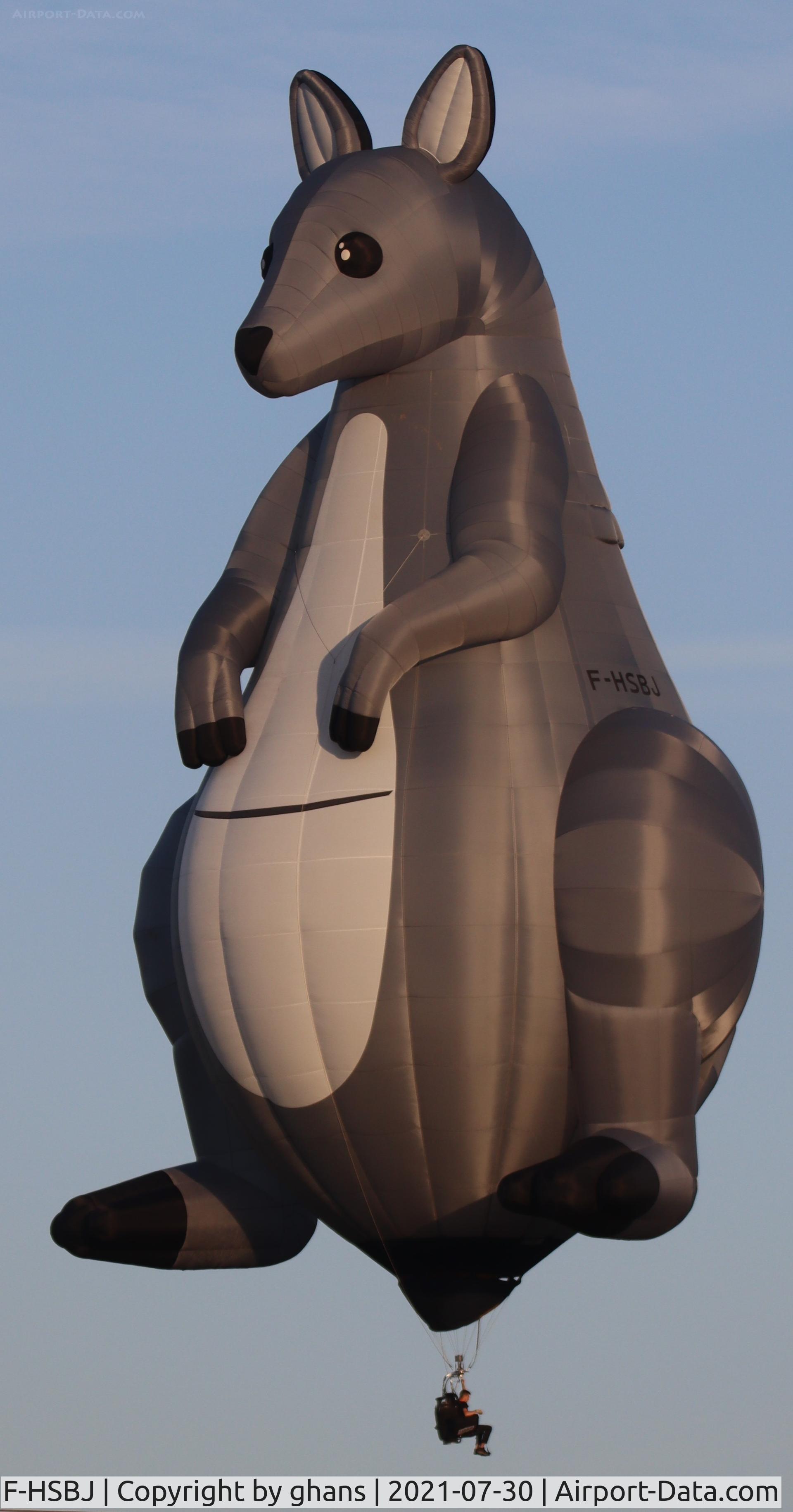 F-HSBJ, Cameron Balloons Wallaby 42 C/N 12008, @ Chambley