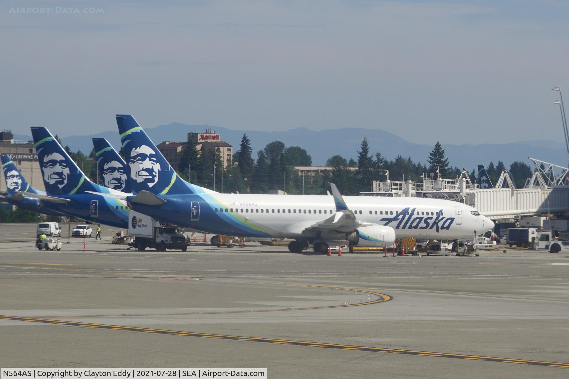 N564AS, 2006 Boeing 737-890 C/N 35103, SEA 2021.